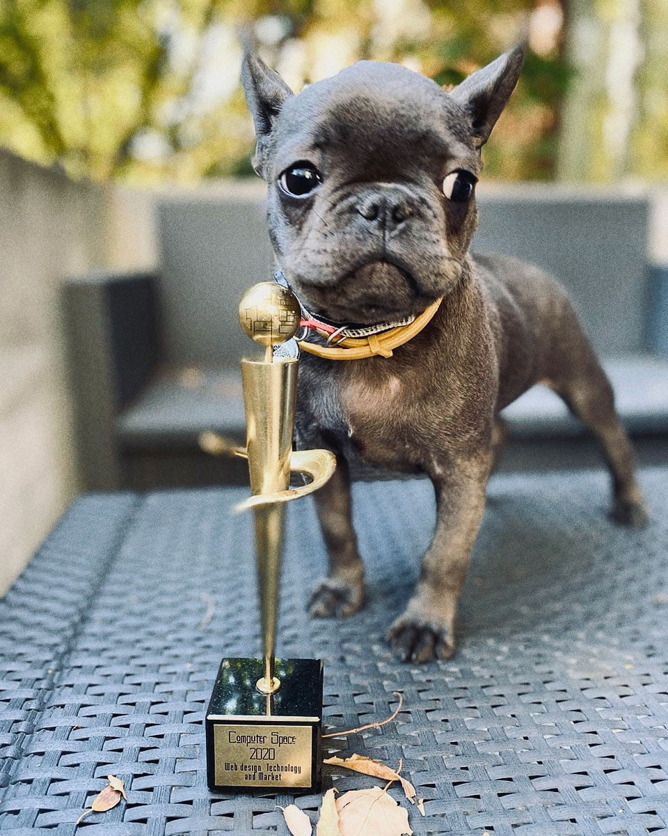 RIZN - Digital Agency