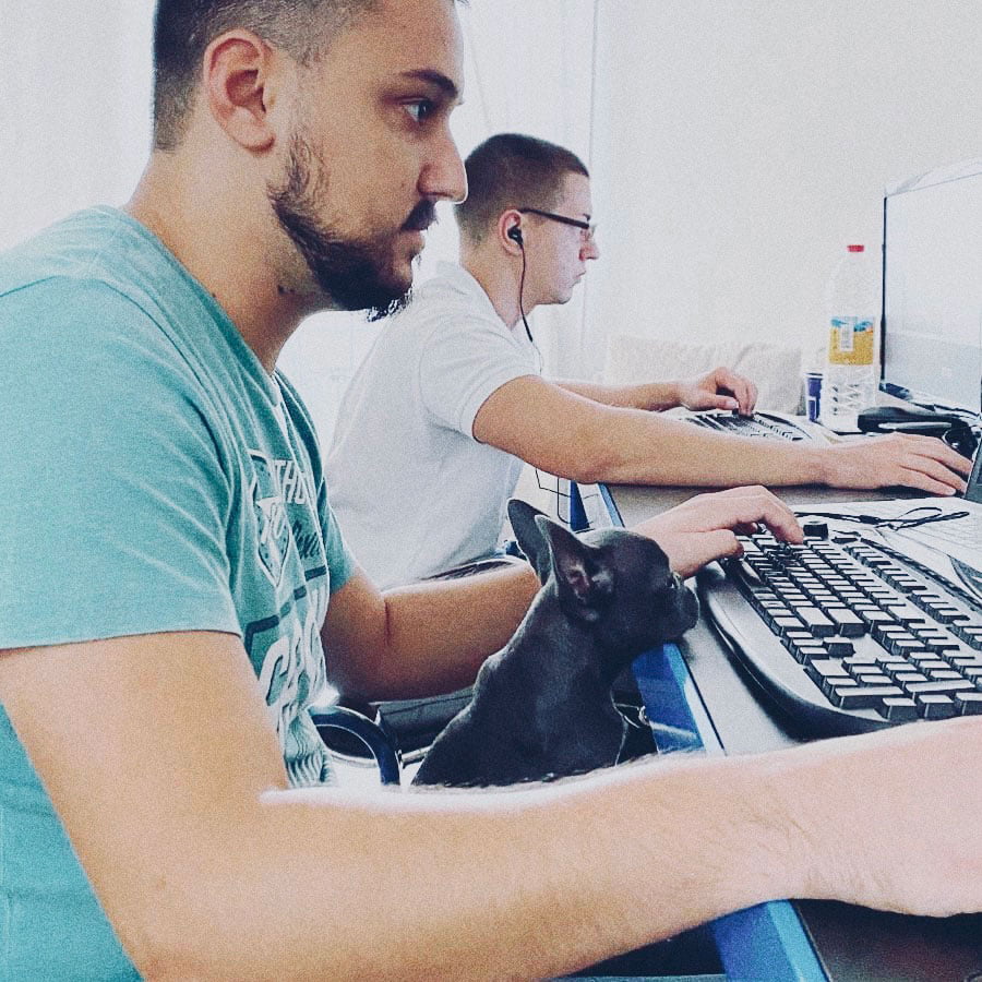 RIZN - Digital Agency