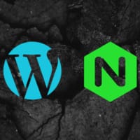 Wordpress Nignx PHP8 file upload