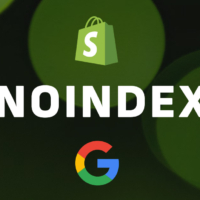 Shopify Seo: Easy Noindex For Collections and Products